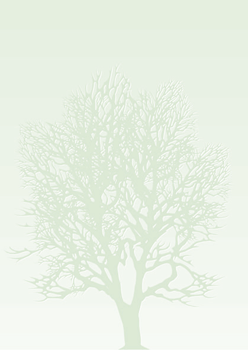 Tree 50 sheets