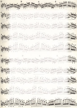 Music notes 50 sheets