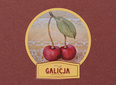 Logo full-color